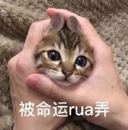 人类“永生时代”真的到来了！用意念来订外卖? 你, 准备好了吗？！