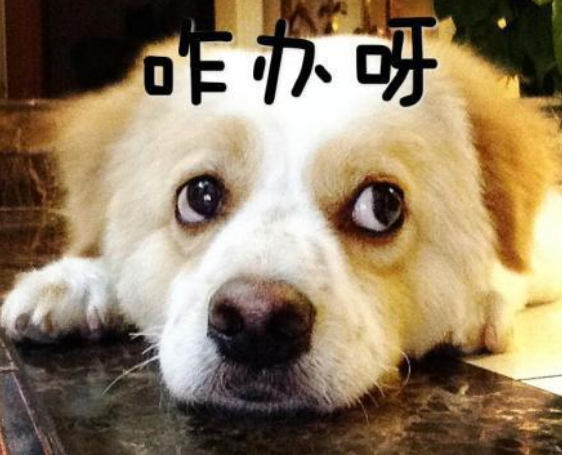 维多利亚