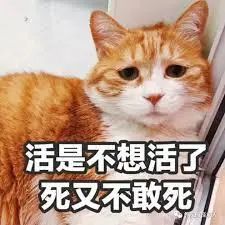 维多利亚