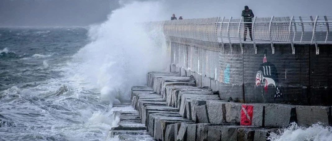 吓死啦！！海啸离我们近在咫尺… 不惜命？乘坐Ferry还有50多个傻X拒绝戴口罩？！