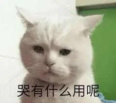 维多利亚 维多利亚