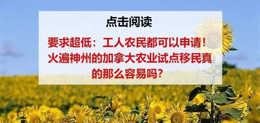 维多利亚