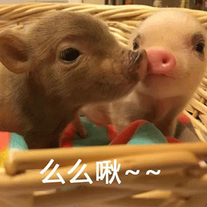 维多利亚