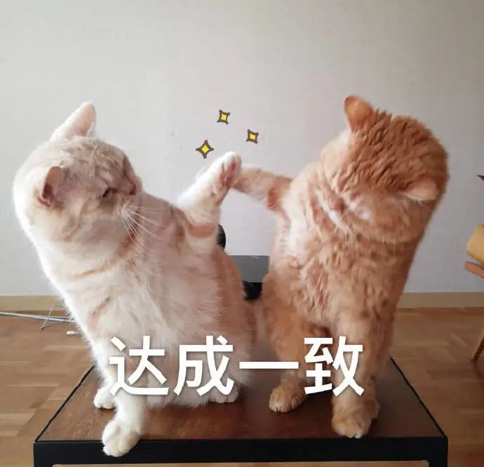 维多利亚