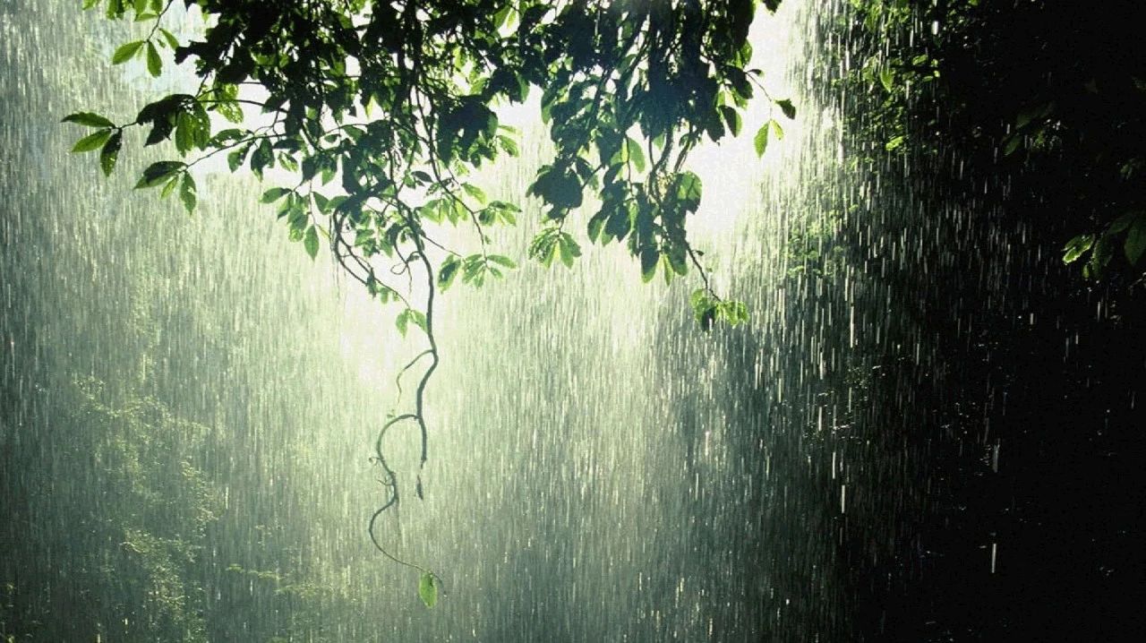 维多利亚的下雨天，适合干啥呢？