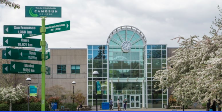 Camosun 转Uvic? 上这些课一定不亏!
