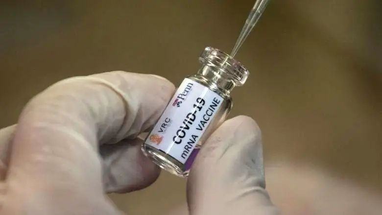 维多利亚 维多利亚