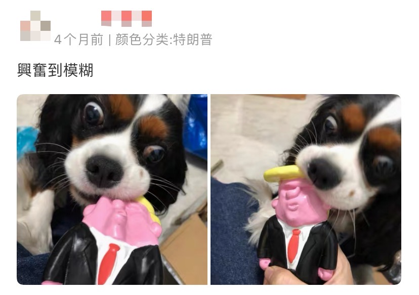 维多利亚 维多利亚