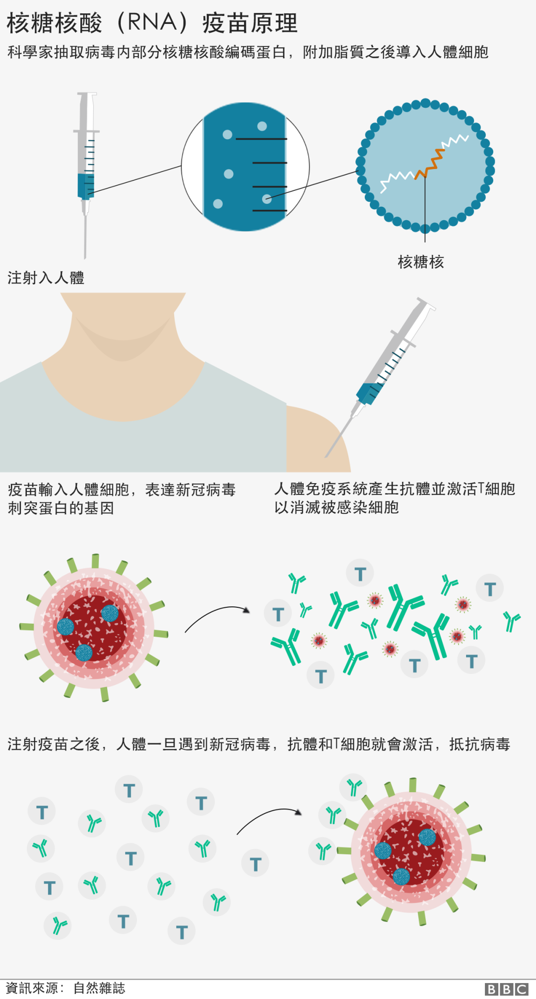维多利亚 维多利亚
