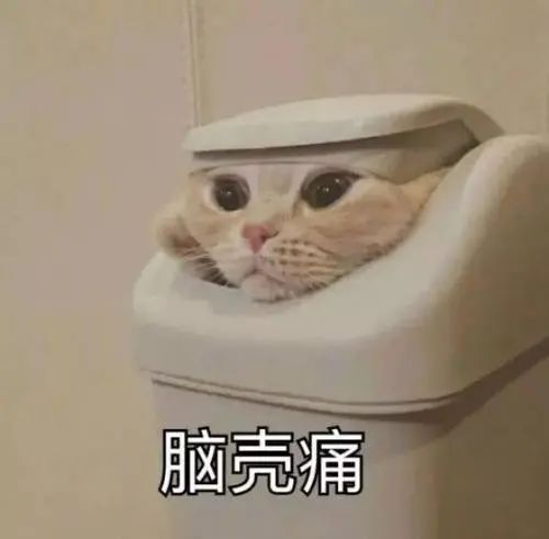 维多利亚 维多利亚