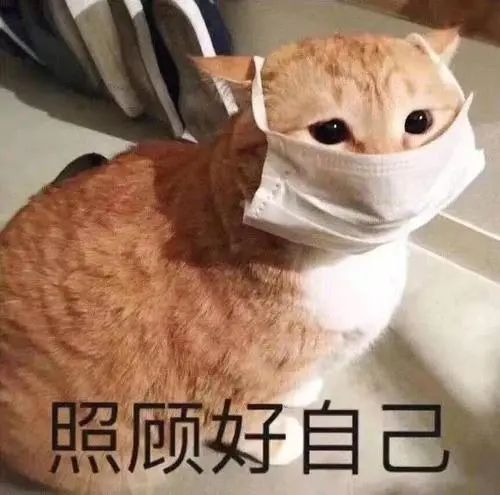 维多利亚 维多利亚
