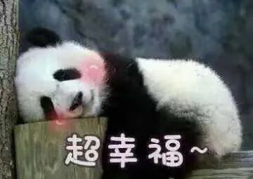 维多利亚 维多利亚