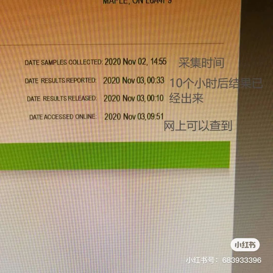 维多利亚