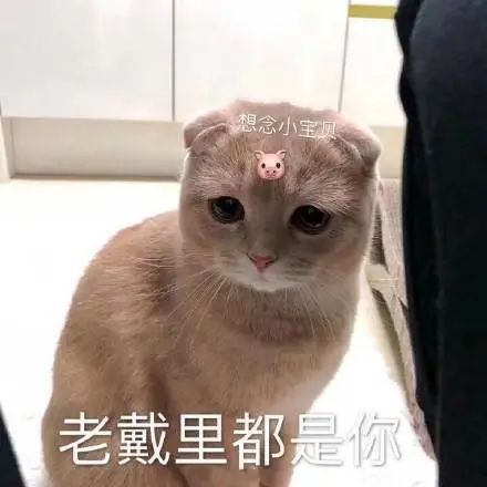 维多利亚