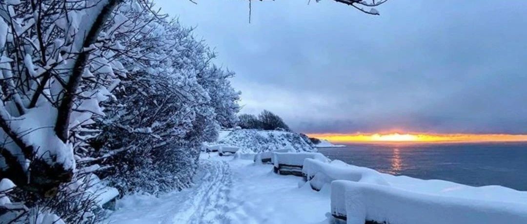 周末新增21例！终于等来维多利亚初雪！简直美爆了“银装素裹，仙气四溢”！！
