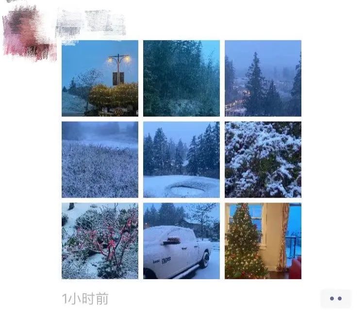 维多利亚 维多利亚