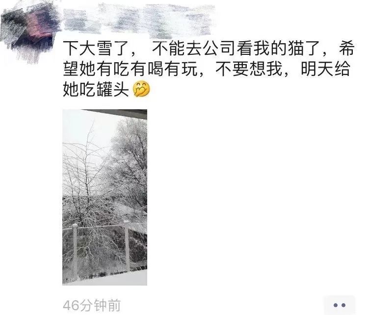 维多利亚 维多利亚