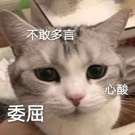 维多利亚