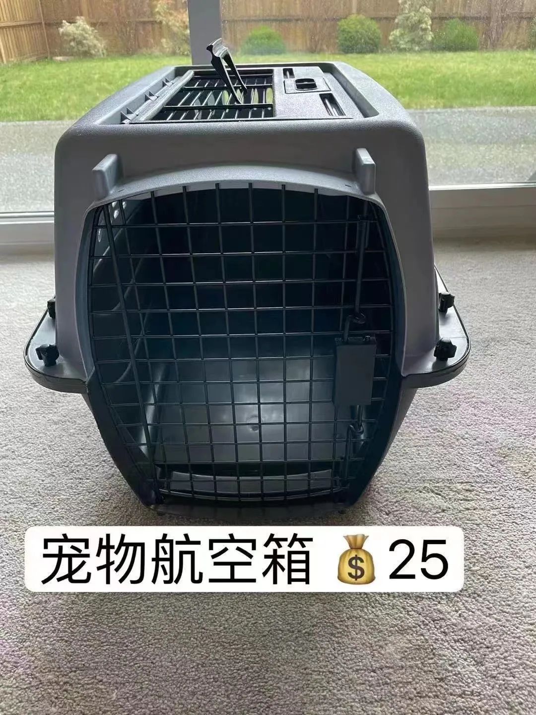 维多利亚
