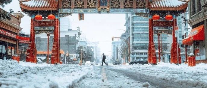 还来?加拿大环境部今早再发降雪警报!哭!加拿大邮政暂停岛上部分地区服务…