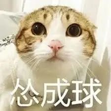 维多利亚 维多利亚