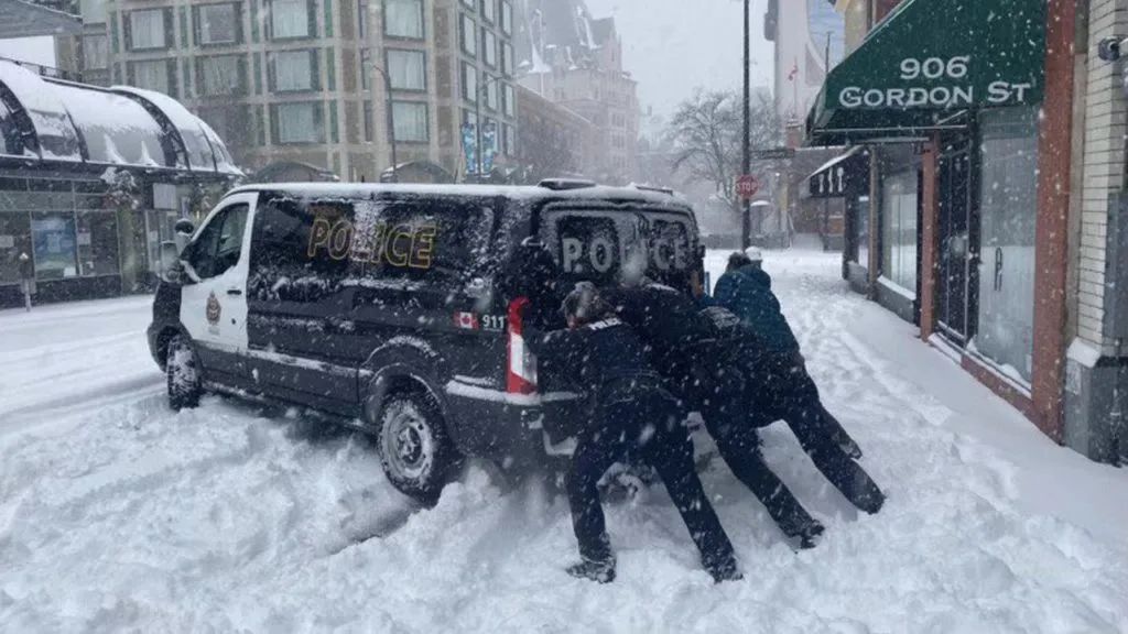 维多利亚