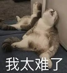 维多利亚