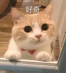 维多利亚