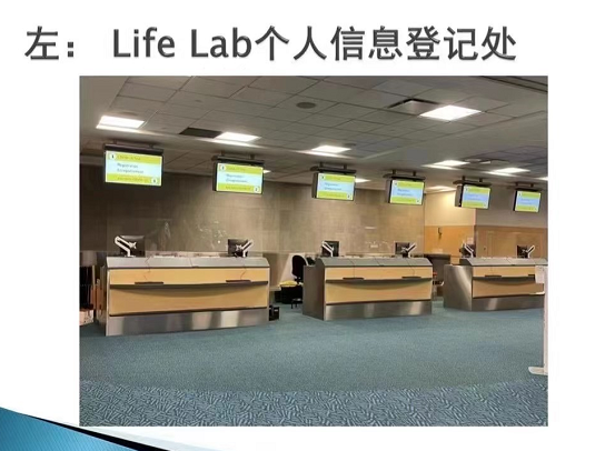 维多利亚 维多利亚