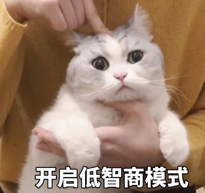 维多利亚