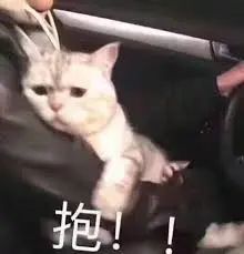 维多利亚