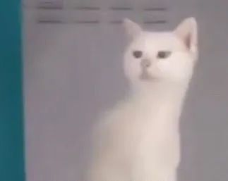 维多利亚