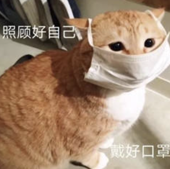 维多利亚 维多利亚