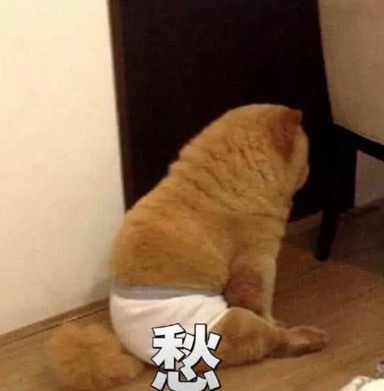 维多利亚 维多利亚