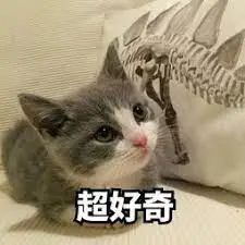 维多利亚 维多利亚