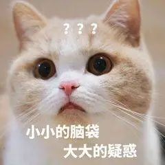 维多利亚 维多利亚