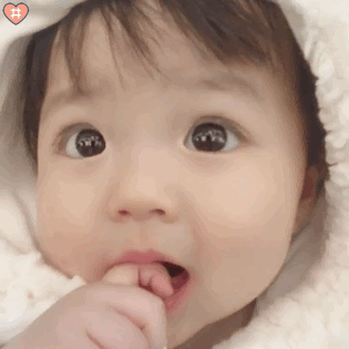 维多利亚 维多利亚