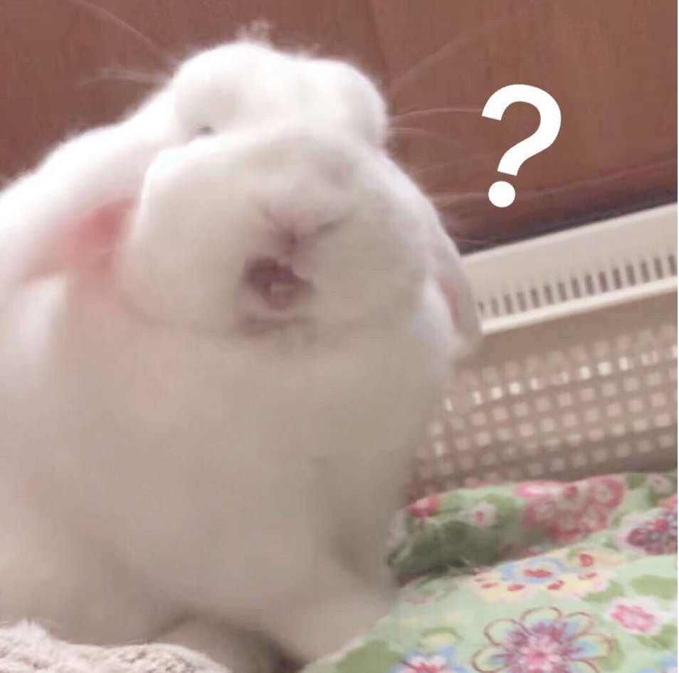 维多利亚