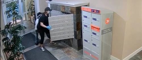 大快人心!连撬八栋公寓男子今日终于被捕!侵犯人权?BC企业有权要求员工必须接种疫苗?