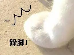 维多利亚