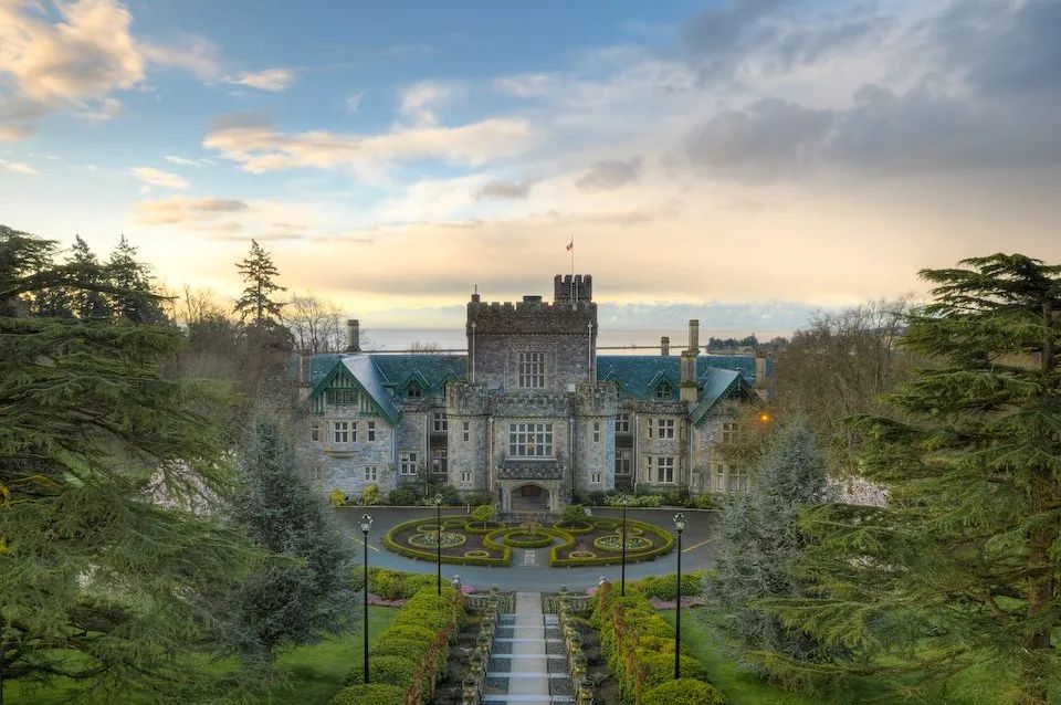 维多利亚