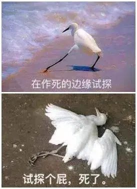 维多利亚