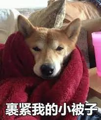 维多利亚