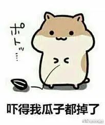 维多利亚 维多利亚