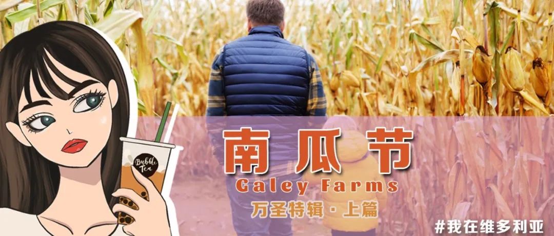 哇!岛上还有这么有趣的农场!南瓜再不摘就被人挑完啦~!