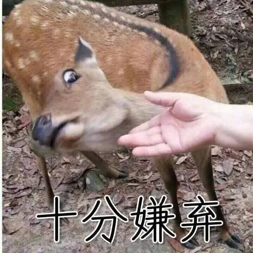 维多利亚 维多利亚