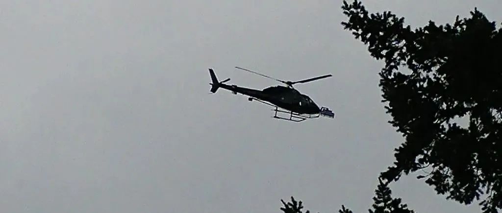 咋回事？维多利亚惊现直升机低空偷拍？！又有锦鲤诞生，随手一刮中奖10万！！