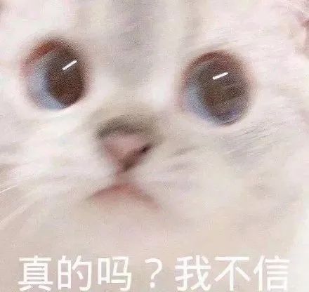 维多利亚