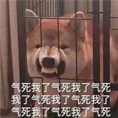 维多利亚 维多利亚