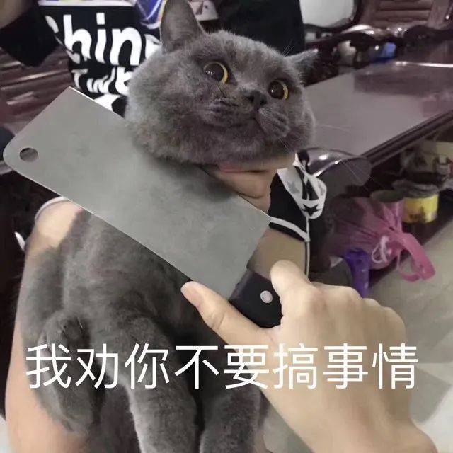 维多利亚